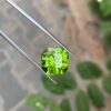Precision Cut Natural Peridot From Pakistan