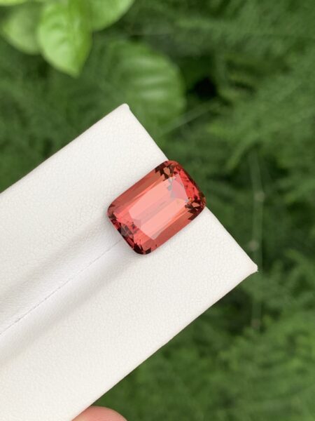 Sunset Tourmaline with Vivid Reddish Orange Center From Afghanistan