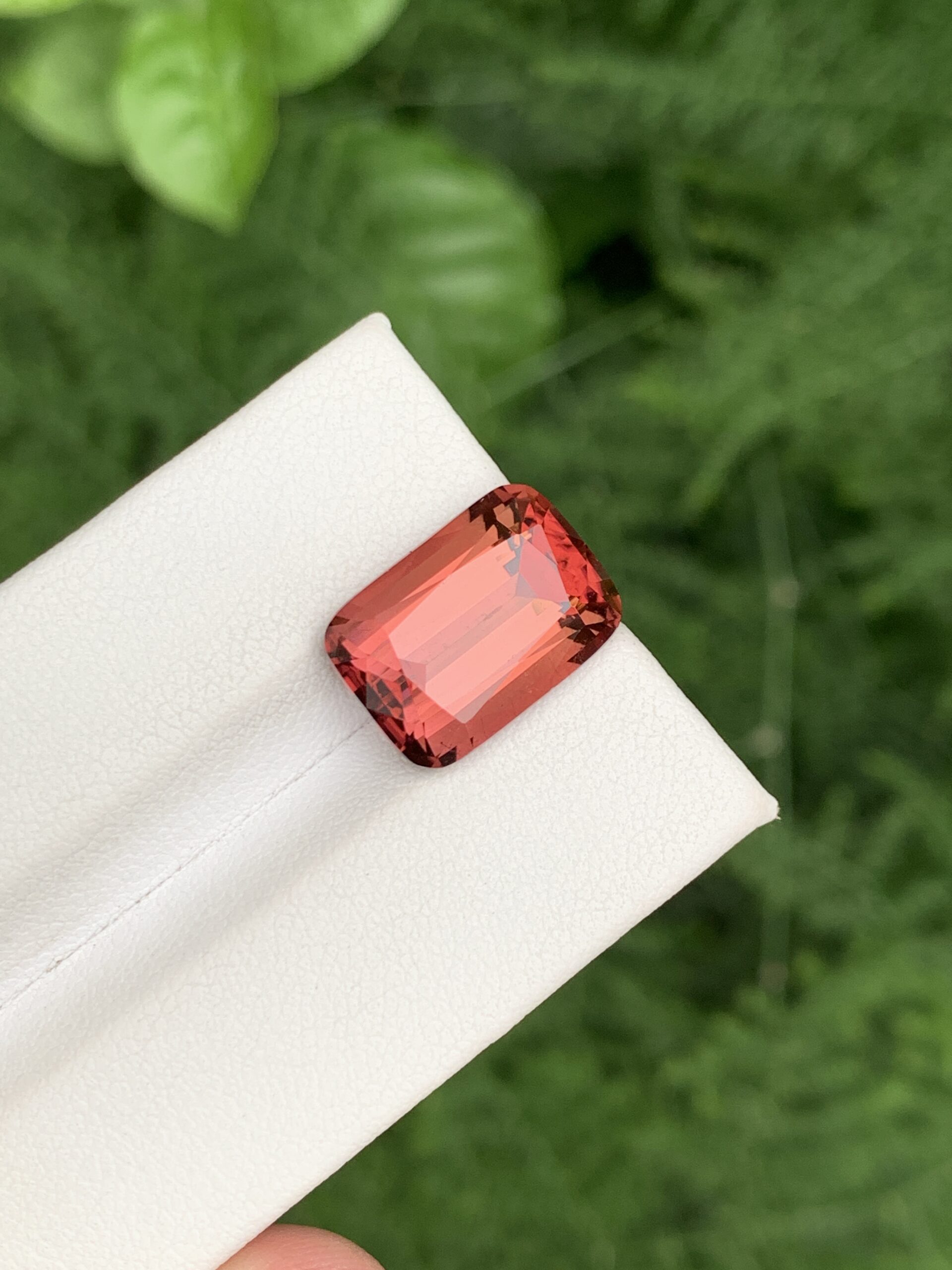 Sunset Tourmaline with Vivid Reddish Orange Center From Afghanistan